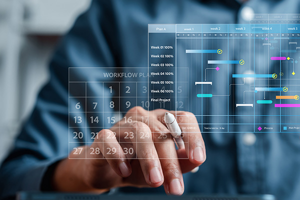 Project Management Services